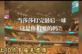 热火球星三分绝杀，全场观众热烈欢呼，你的游戏地址用户.